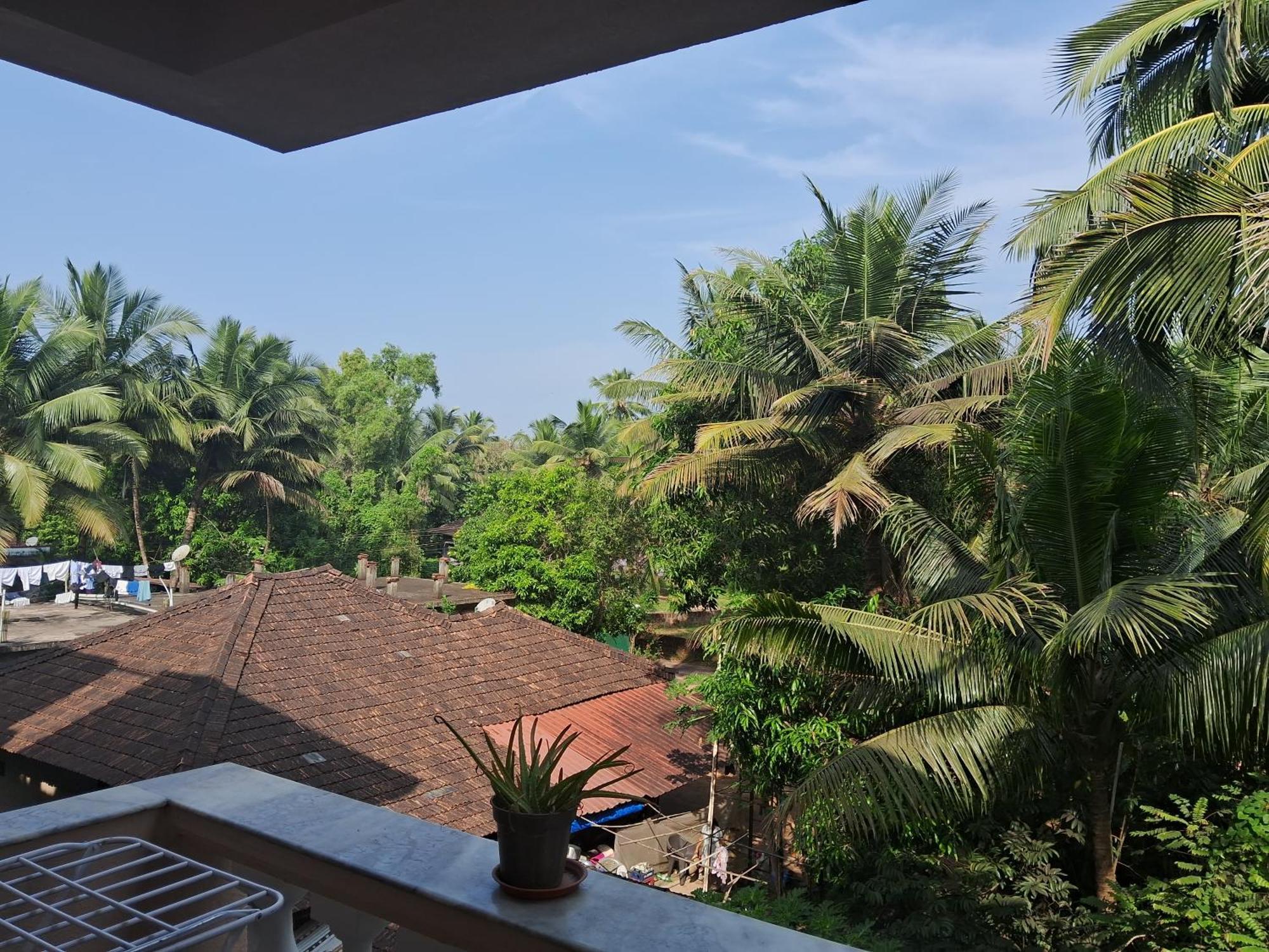 coconut Grove Apartment Varca Exterior foto
